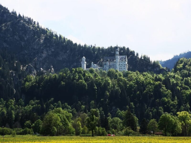 Munich: Neuschwanstein by Bus with Alpine Bike Ride & Swim - Who Will Love This Experience?