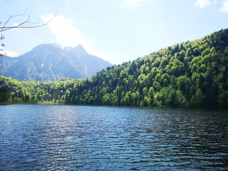munich-neuschwanstein-castle-by-bus-with-alpine-bike-ride