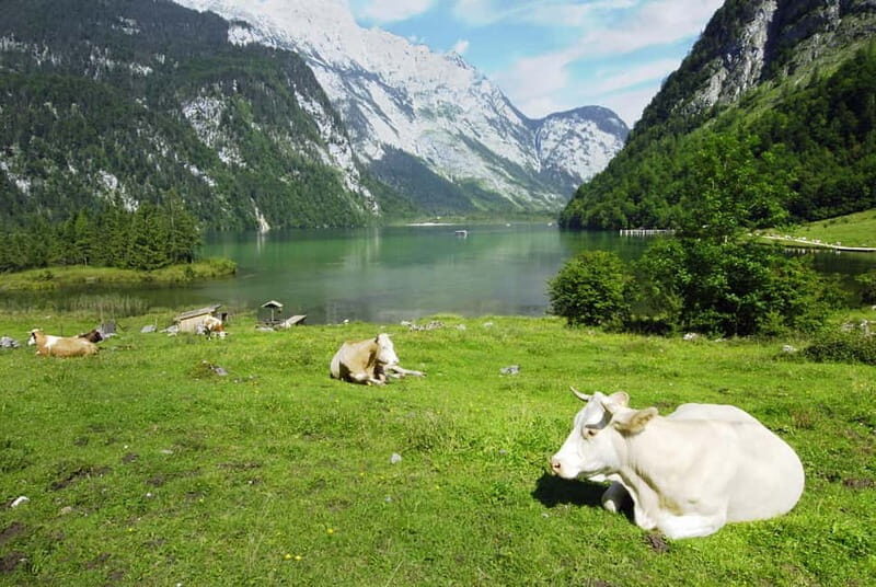 Munich: Private Lake Königssee & Salt Mine Tour with Lunch - Key Points