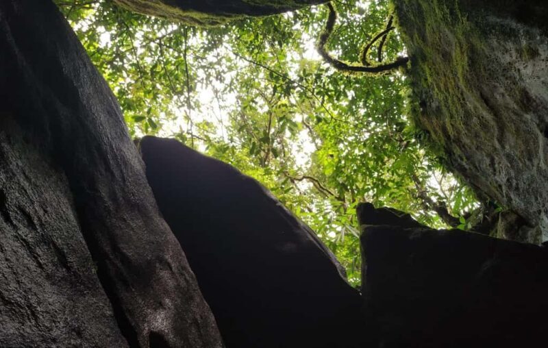 Munnar: Anakulam Jeep Safari to Explore Wild Elephants - An In-Depth Look at the Anakulam Jeep Safari Experience