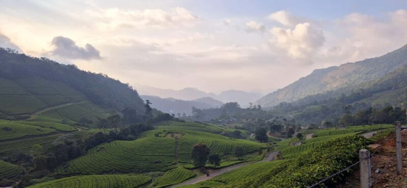 Munnar: Anakulam Jeep Safari with Waterfall and Elephant - Frequently Asked Questions