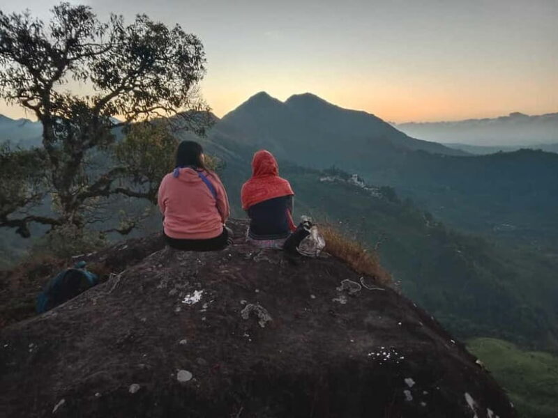 Munnar: Half day Guided Trek - Introduction: Why This Trek Is Worth Your Time