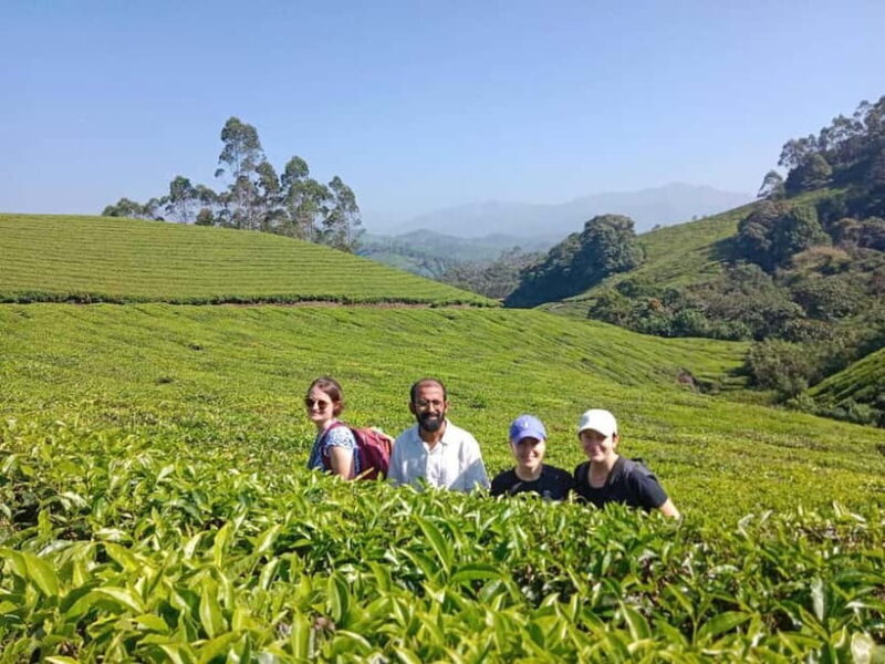 Munnar: Half day Guided Trek - The Guides and Their Role