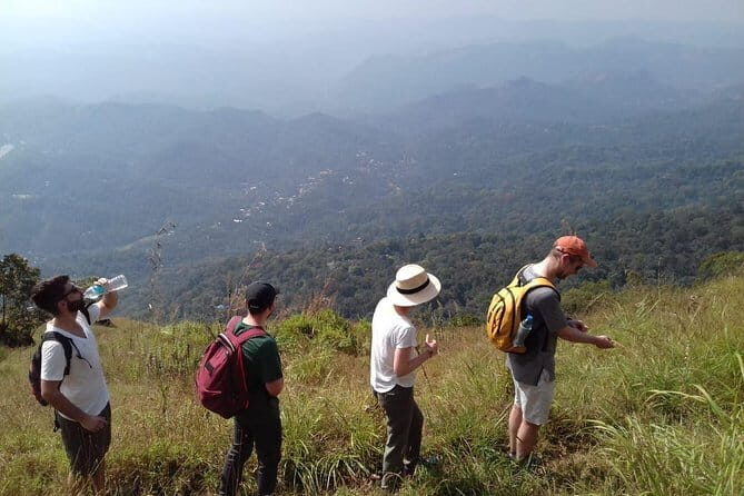 Munnar historical trail- (walk into Tea garden, village & market) - Day 1: Sunset at Chithirapuram