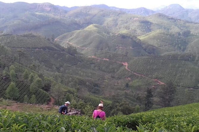 Munnar historical trail- (walk into Tea garden, village & market) - The Sum Up: Who is This Tour Best For?
