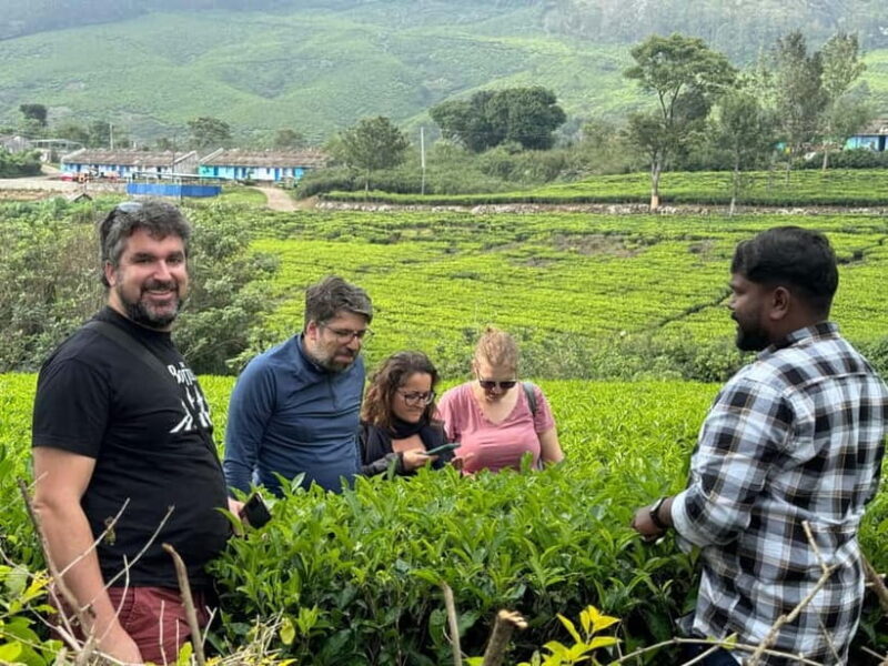 Munnar: Kolukkumalai Tea Plantation Jeep Tour - Key Points
