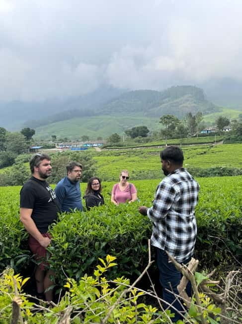 Munnar: Kolukkumalai Tea Plantation Jeep Tour - What Travelers Say