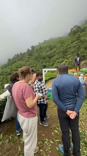 Munnar: Kolukkumalai Tea Plantation Jeep Tour - The Sum Up