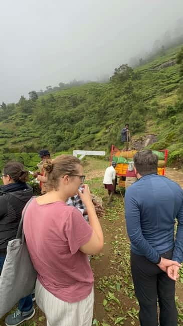 Munnar: Kolukkumalai Tea Plantation Jeep Tour - FAQ