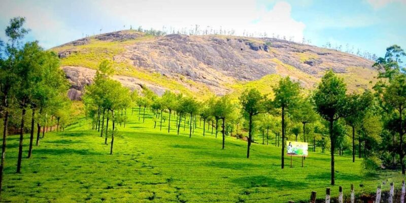 Munnar: Local Highlights Day Tour with Top station Visit - The Good, the Not-So-Good, and How to Make It Better