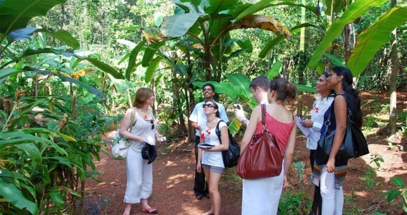 Munnar Local Sightseeing (Adventure Spots) - A Closer Look at What to Expect in the Munnar Local Sightseeing Tour