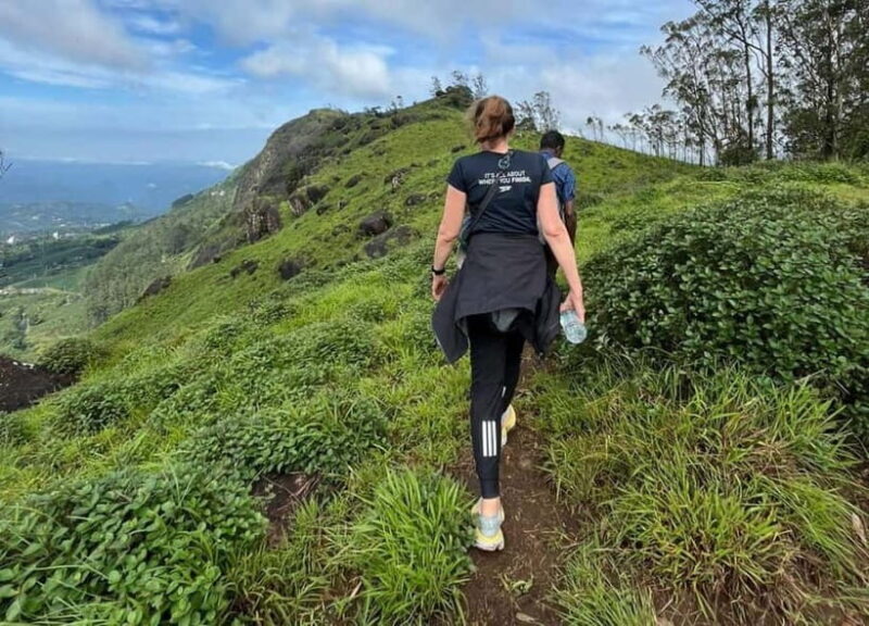 Munnar mountain hiking (Full day) - Key Points