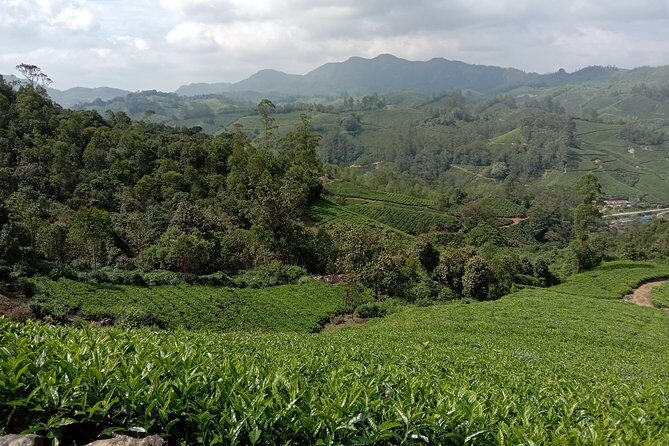 Munnar Mountain Trekking - FAQ