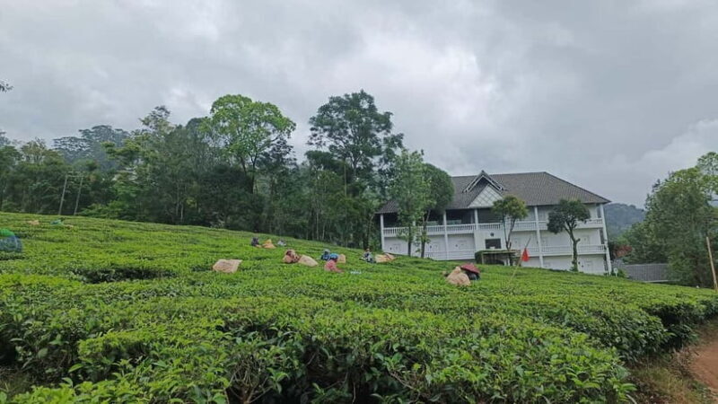 Munnar Nature Walk - Key Points