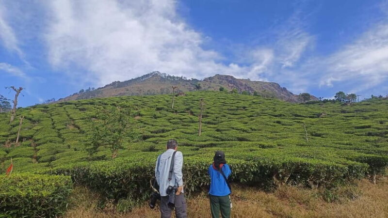 Munnar Nature Walk - Introduction to the Munnar Experience