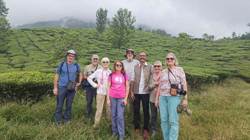 Munnar Nature Walk - What to Expect on the Tour