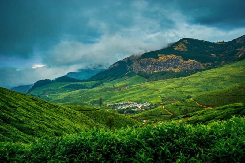 Munnar : Private One Day Tour from Kochi. Free Pickup-Drop - The Value of the Tour