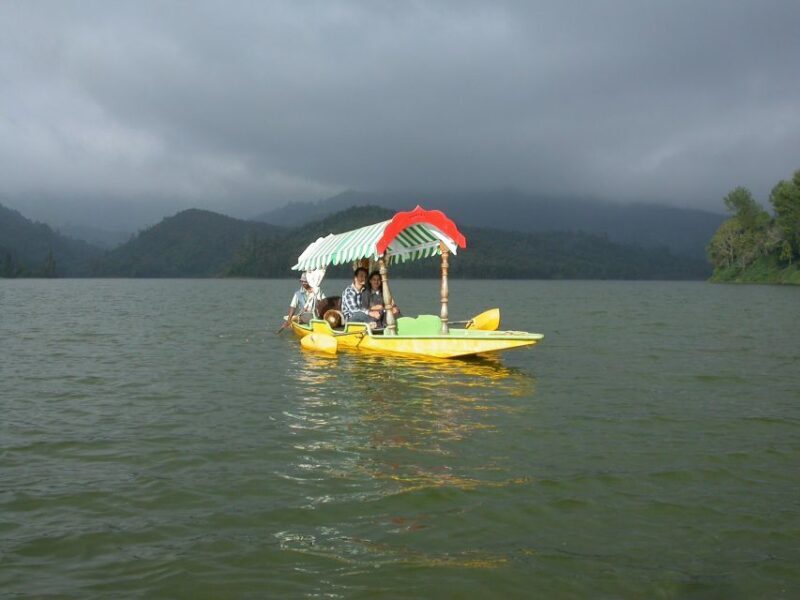 Munnar site-seeing Tour - Why This Tour Offers Good Value