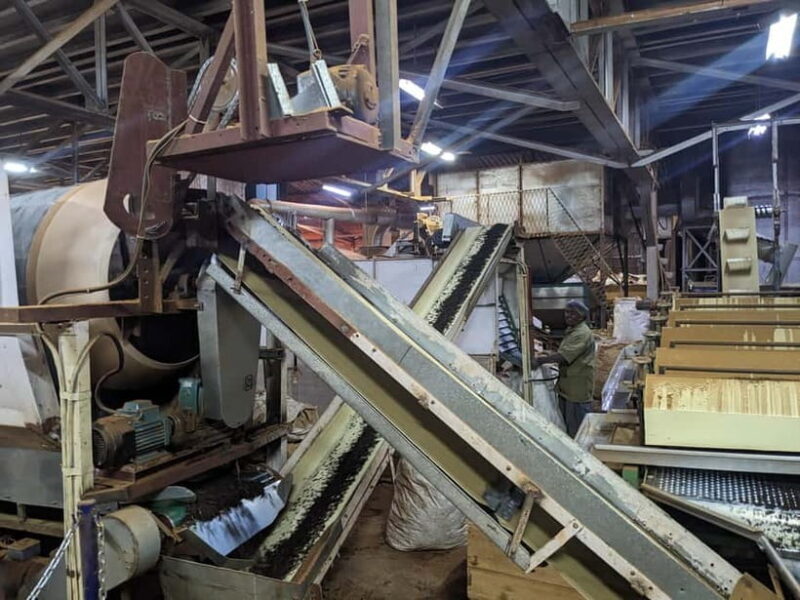 Munnar: Tea trail, Tea Factory, and Tea Tasting Tour - Visiting Lockhart Tea Factory