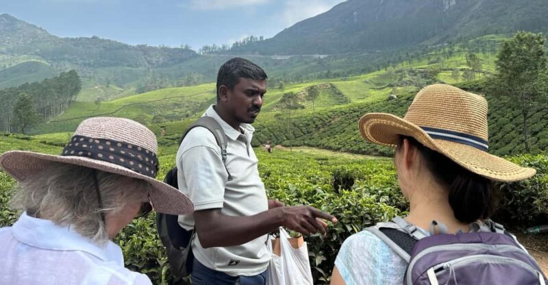 Munnar: Tea trail, Tea Factory, and Tea Tasting Tour - What to Expect and Practical Tips