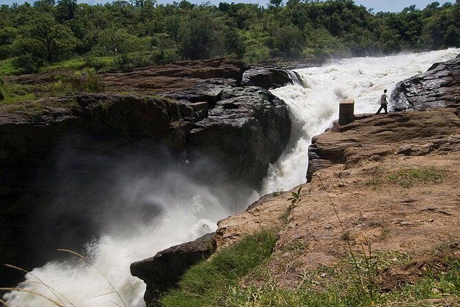 Murchison Falls National Park - 3 Days - The Value of the Tour