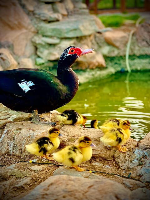 murcia-astronomy-night-in-finca-astronomica