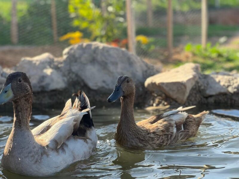 murcia-astronomy-night-in-finca-astronomica