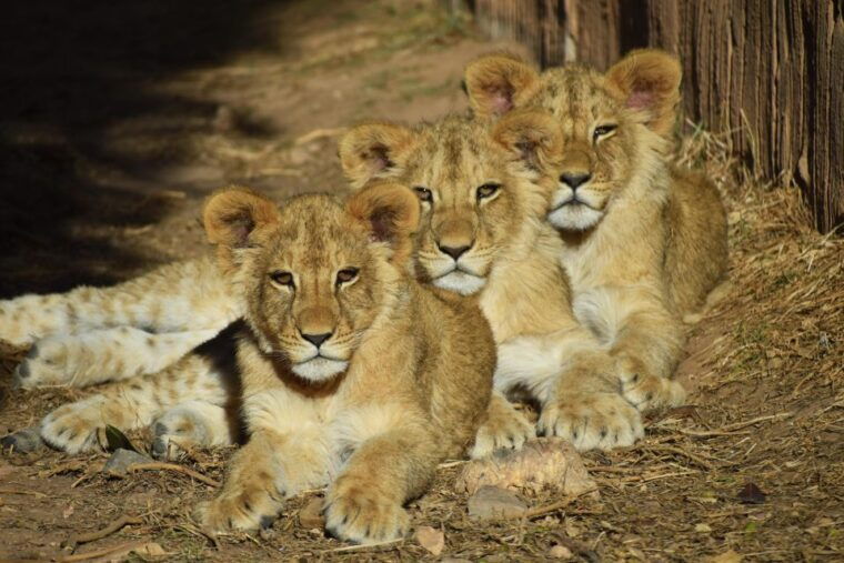 murcia-terra-natura-murcia-ticket-entry