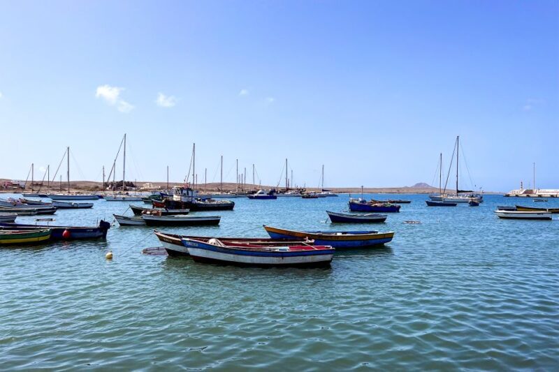 Murdeira: Sal Island Nature Reserve and Fishing Village Tour - Final Thoughts: Who Will Love This Experience?