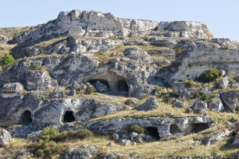murgia-park-eco-bus-open-top-official-tour