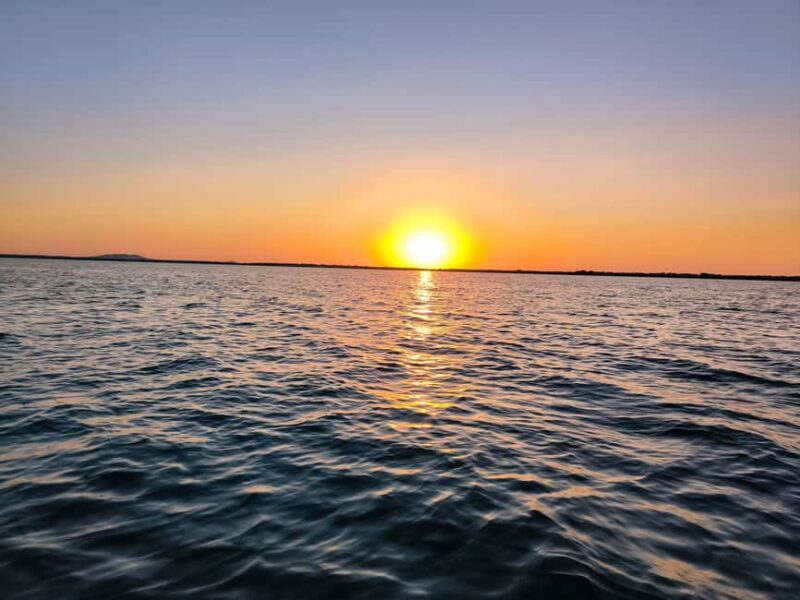 Murighiol: Danube Delta Guided Boat Tour - What to Expect on the Murighiol Danube Delta Guided Boat Tour