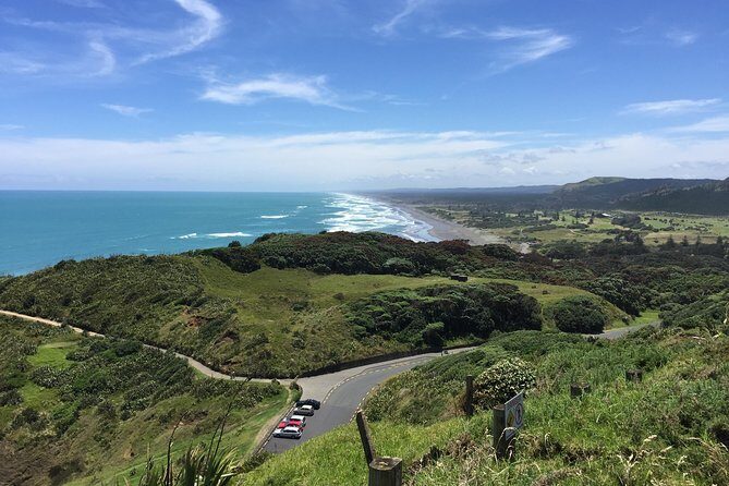 Muriwai Scenic Wine Tour from Auckland - The Practicalities