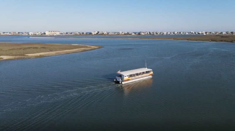 Murrells Inlet: Saltwater Marsh Eco Tour w/ Marine Biologist - An Authentic Look at Murrells Inlet’s Saltwater Ecosystem