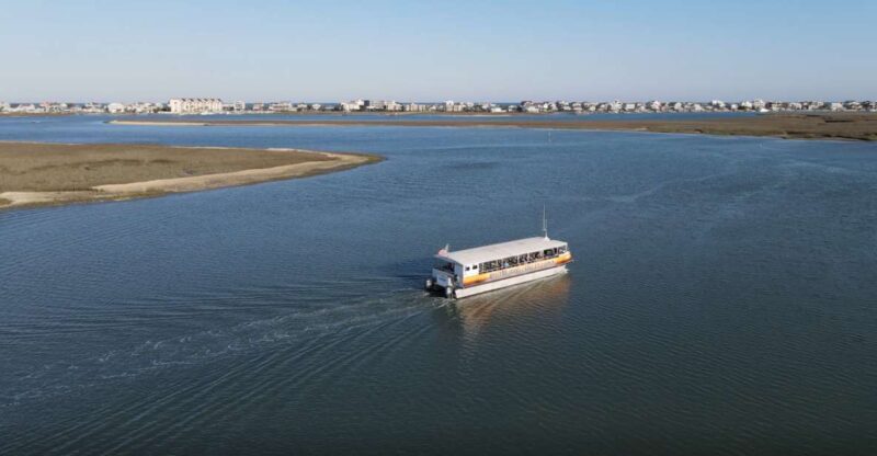 Murrells Inlet: Saltwater Marsh Eco Tour w/ Marine Biologist - The Itinerary in Detail
