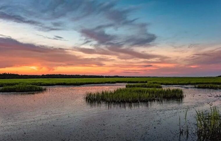 murrells-inlet-sunset-sealife-cruise