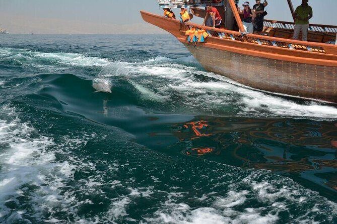 Musandam Khasab Full day dhow cruise with Lunch - Key Points