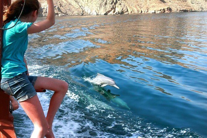 Musandam Khasab Full day dhow cruise with Lunch - Authentic Reviews: What Travelers Say