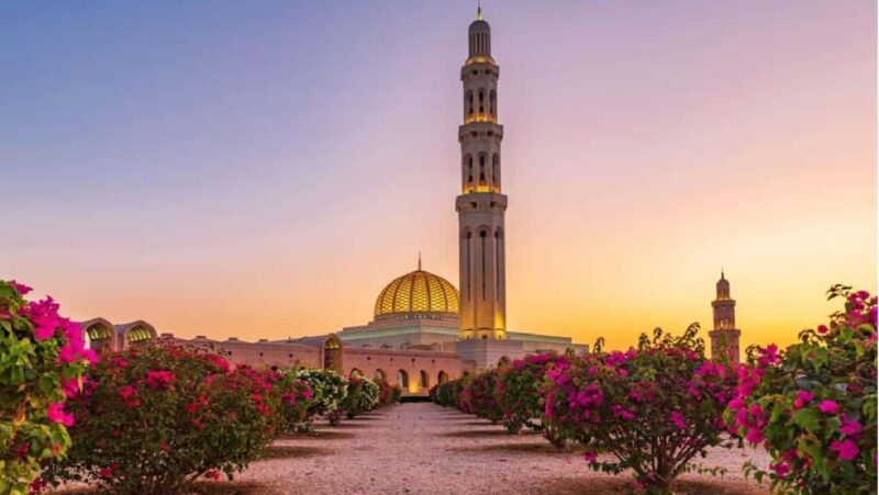 Muscat: Amazing Muscat City Tour Full Day with Omani Guide - Who Will Love This Tour?