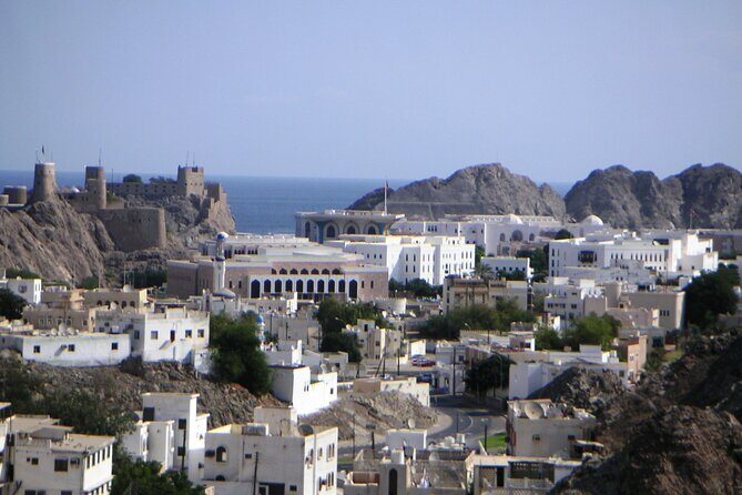 Muscat City Sightseeing Tour - A Fascinating Capital - FAQ