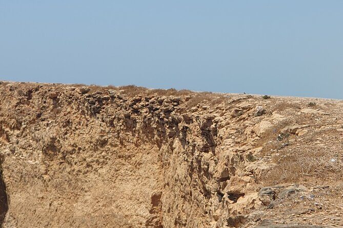 Muscat City Tour with All Language Guide - Final Thoughts