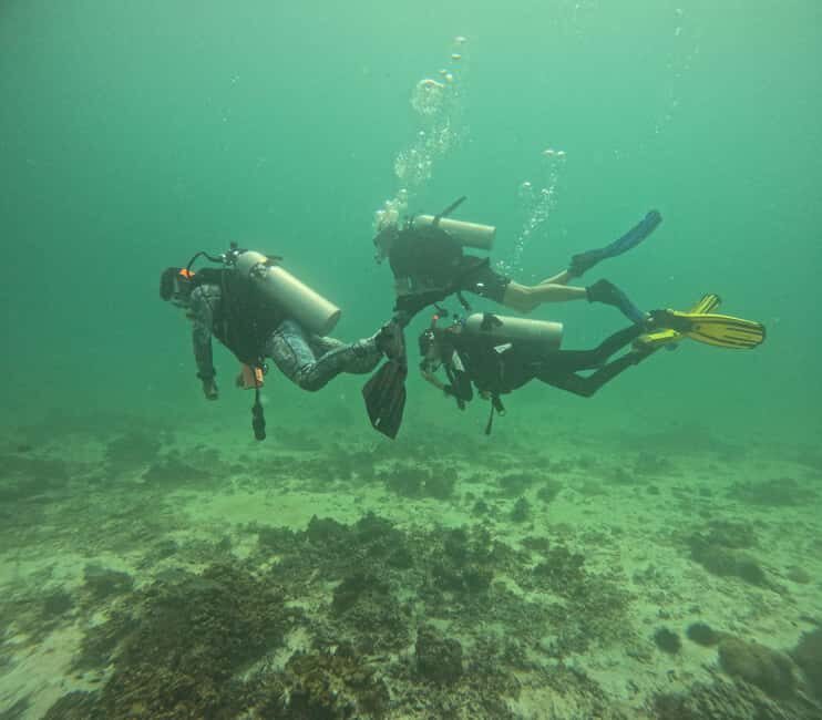 Muscat: Daymaniat Islands Try Scuba Diving - The Sum Up