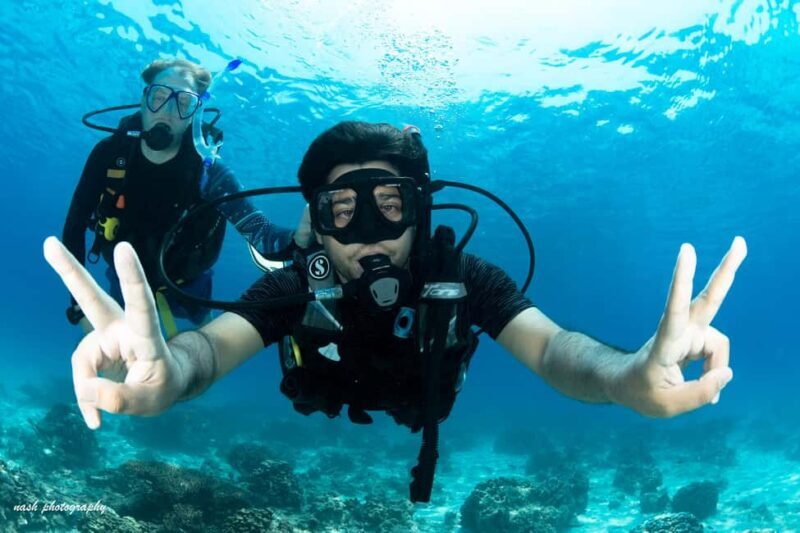 MUSCAT: Daymaniyat Island Snorkeling & Try-Dive + BBQ Lunch - An In-Depth Look at the Daymaniyat Islands Snorkeling & Try-Dive Tour