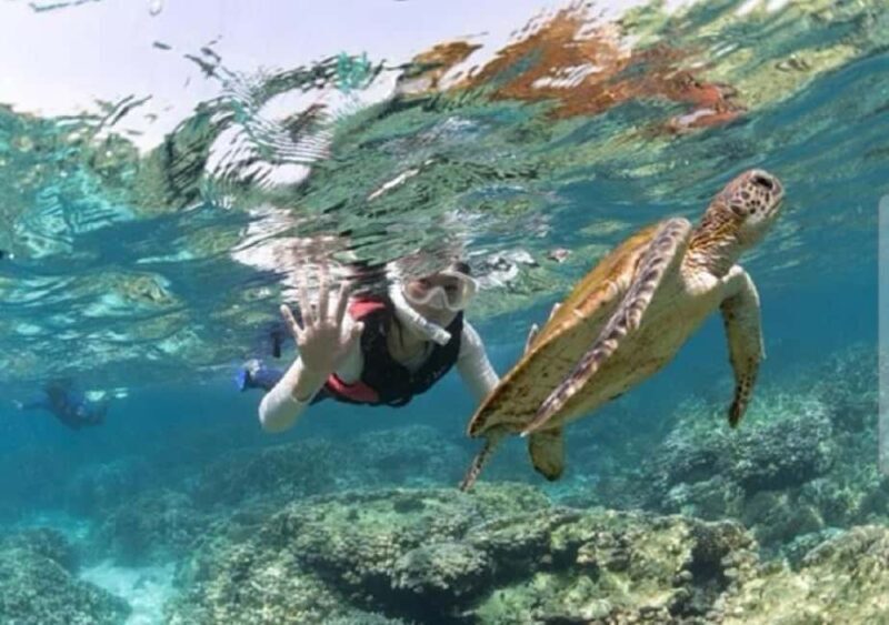 Muscat: Daymaniyat Islands Snorkeling Trip with BBQ Lunch - Key Points