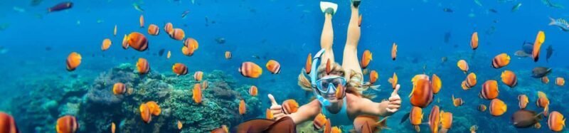 Muscat: Daymaniyat Islands Snorkeling Trip with Lunch - FAQ