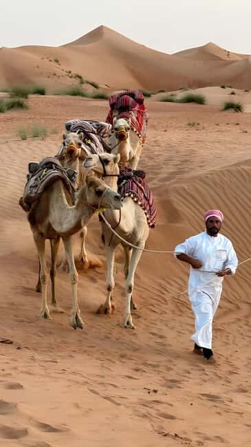 Muscat: Desert & Wadi Bani Khalid Tour with Quad Bike Option - What Reviewers Say