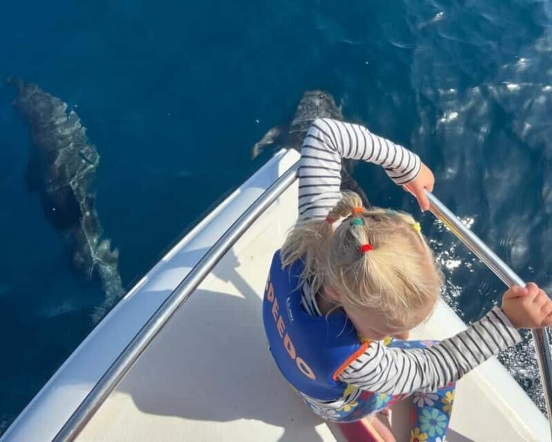 Muscat: Dolphin Watching Boat Trip with Snacks - A Closer Look at the Experience