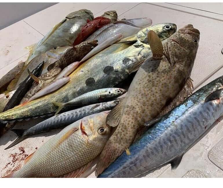 Muscat: Fishing Trip with Equipments - Why This Fishing Trip Offers Good Value