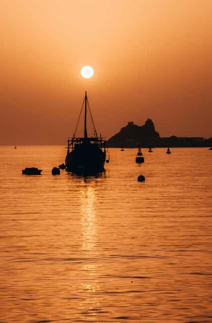 Muscat: Night Tour [ Sightseeing ] - Discovering the Highlights of Muscat by Night