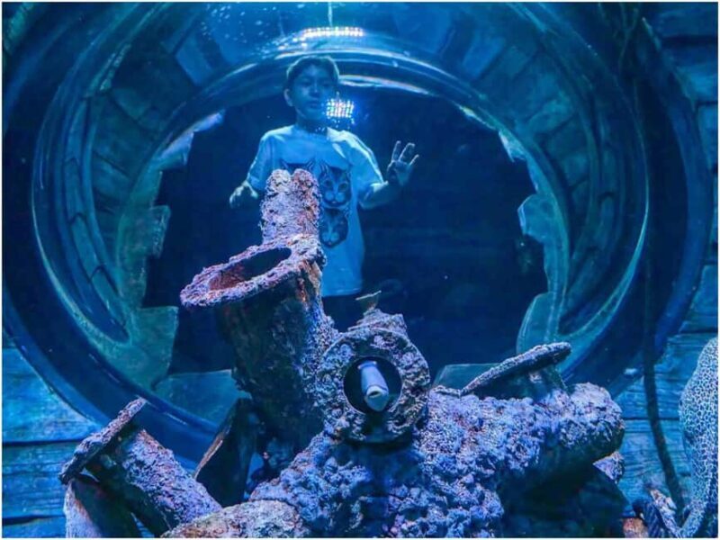 Muscat: Oman Aquarium Entry Ticket - Exploring Oman Aquarium: A Closer Look at This Marine Paradise in Muscat