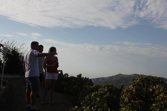 Muscat Raisin Route - Small group with lunch included - The Itinerary in Detail
